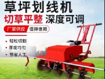 點(diǎn)擊查看詳細(xì)信息<br>標(biāo)題：草皮劃線機(jī) 閱讀次數(shù)：2423